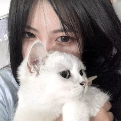 王者军团官方下载